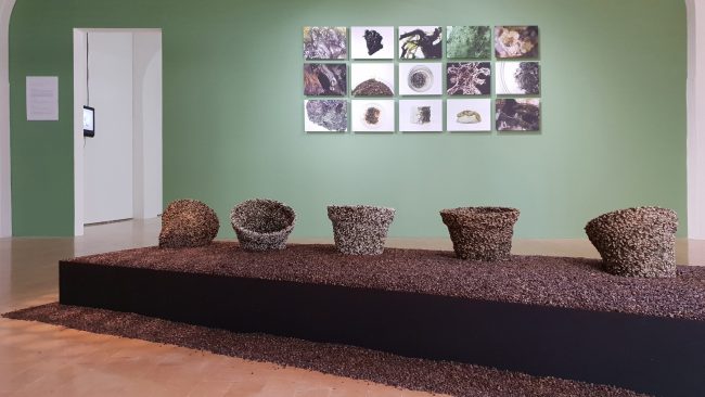 Photosynthesizing Flowerpots expo Hongo