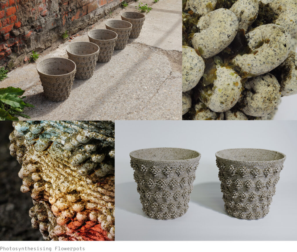 Photosynthesising Flowerpots